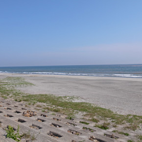 今日も暖かい1日でしたね