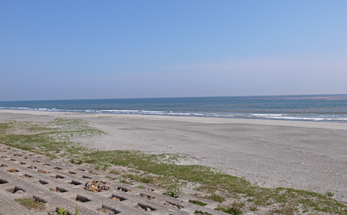 今日も暖かい1日でしたね