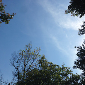 5月のスケジュールを更新しました！