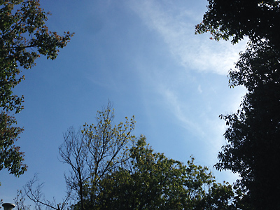 5月のスケジュールを更新しました！