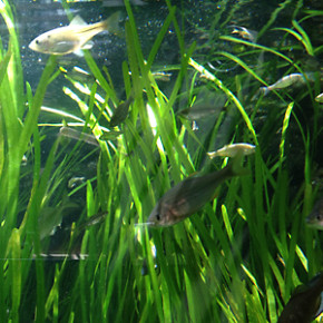 アクア・トト ぎふ