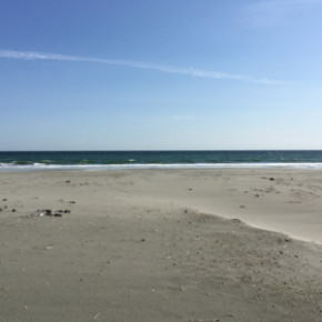 ヨガ・ニドラー