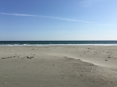 ヨガ・ニドラー