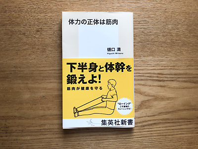 体力の正体は筋肉