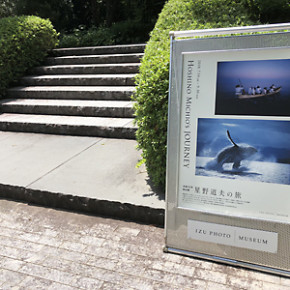 「星野道夫の旅」展