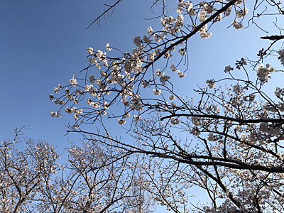 新しくヨガを始めませんか？