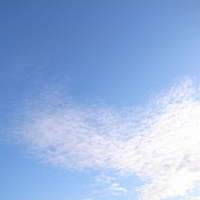 ヨガで春を快適に過ごす