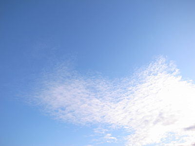 ヨガで春を快適に過ごす